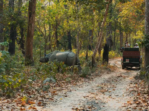 Nepal Highlights: Culture, Nature, and Adventure in One Journey